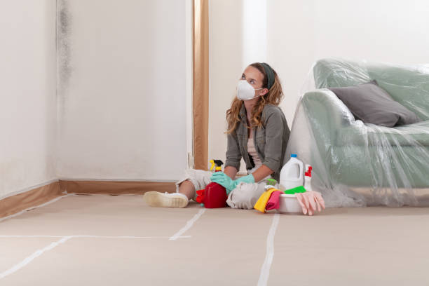 Reliable Mold Removal contractor in Nashville, MI by 24 Hour Mold Removal